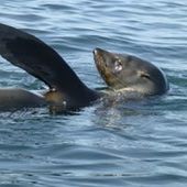 User avatar for Robyn Malcolm