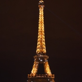 User avatar for Allyson Beaton