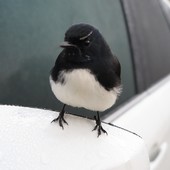 User avatar for Adrienne Markey