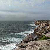 User avatar for Justin Vo