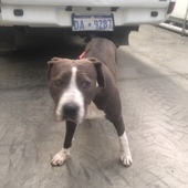 User avatar for Greg Stover