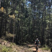 User avatar for Sean Joyce