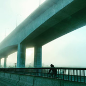 User avatar for Melanie Bonadore