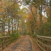 User avatar for Maria Susana Panero