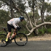 User avatar for Andrew Scott