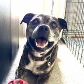 User avatar for Melissa Hillmer