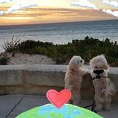 User avatar for Bernie Adele Reygate