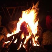 User avatar for Lori Mc Daniel