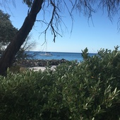 User avatar for Anthony Pick