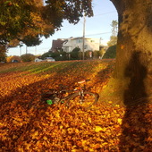 User avatar for Jill Abruzzio