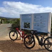 User avatar for Carl Beck