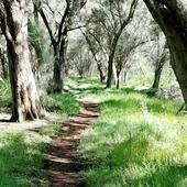 User avatar for Chris Fay