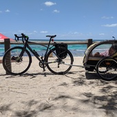 User avatar for Mark Scarfone