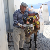 User avatar for Janine Buck