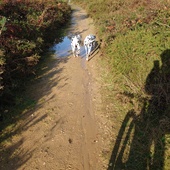 User avatar for Grant Murphy