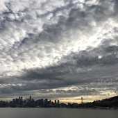 User avatar for Allison Bolgiano