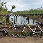 User avatar for Marion Lucken