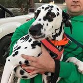 User avatar for Adam West