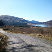 User avatar for Steven Abraham