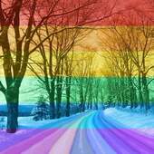 User avatar for Rachel Kirkbride