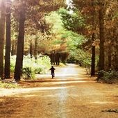 User avatar for Alice Guo