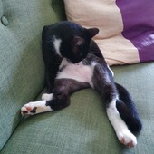 User avatar for Seiko Kurokawa