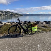 User avatar for Joanna Laurenson