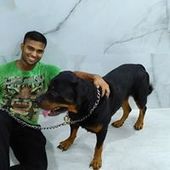 User avatar for Kartik Bhat