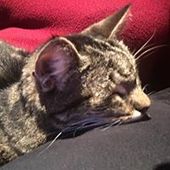 User avatar for Raewyn Ralfs