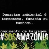 User avatar for Ana Harrison