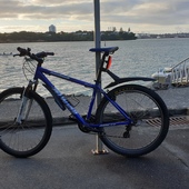 User avatar for Andrew Holter