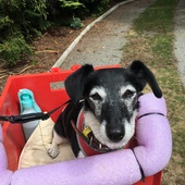 User avatar for Colleen Fairbairn