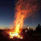 User avatar for Rochelle Curry