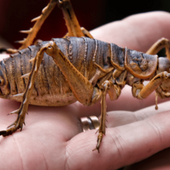 User avatar for Anita Spencer