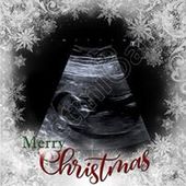 User avatar for Chris Lloyd