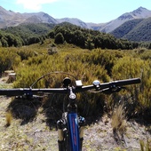 User avatar for Vicki Havord