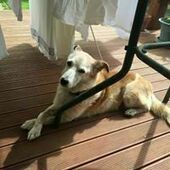 User avatar for Mark Bryant