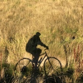 User avatar for brian Blanchard