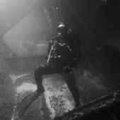 User avatar for Phil Ross