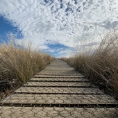 User avatar for Helen Hird