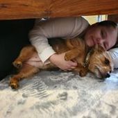 User avatar for Hayley Lou