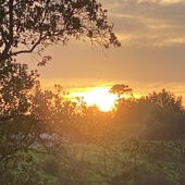 User avatar for Jessica Berry