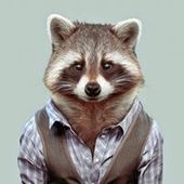 User avatar for Damien Goehrig