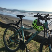 User avatar for Elaine Denton