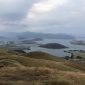 User avatar for Mike Cooper