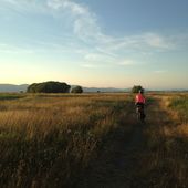 User avatar for Marylou Fortier