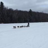 User avatar for Flav Kief