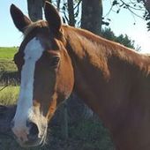 User avatar for Anna Mc Kee