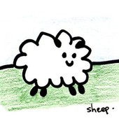 User avatar for Steve Strugnell