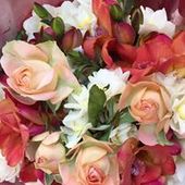 User avatar for Karen Broomhall